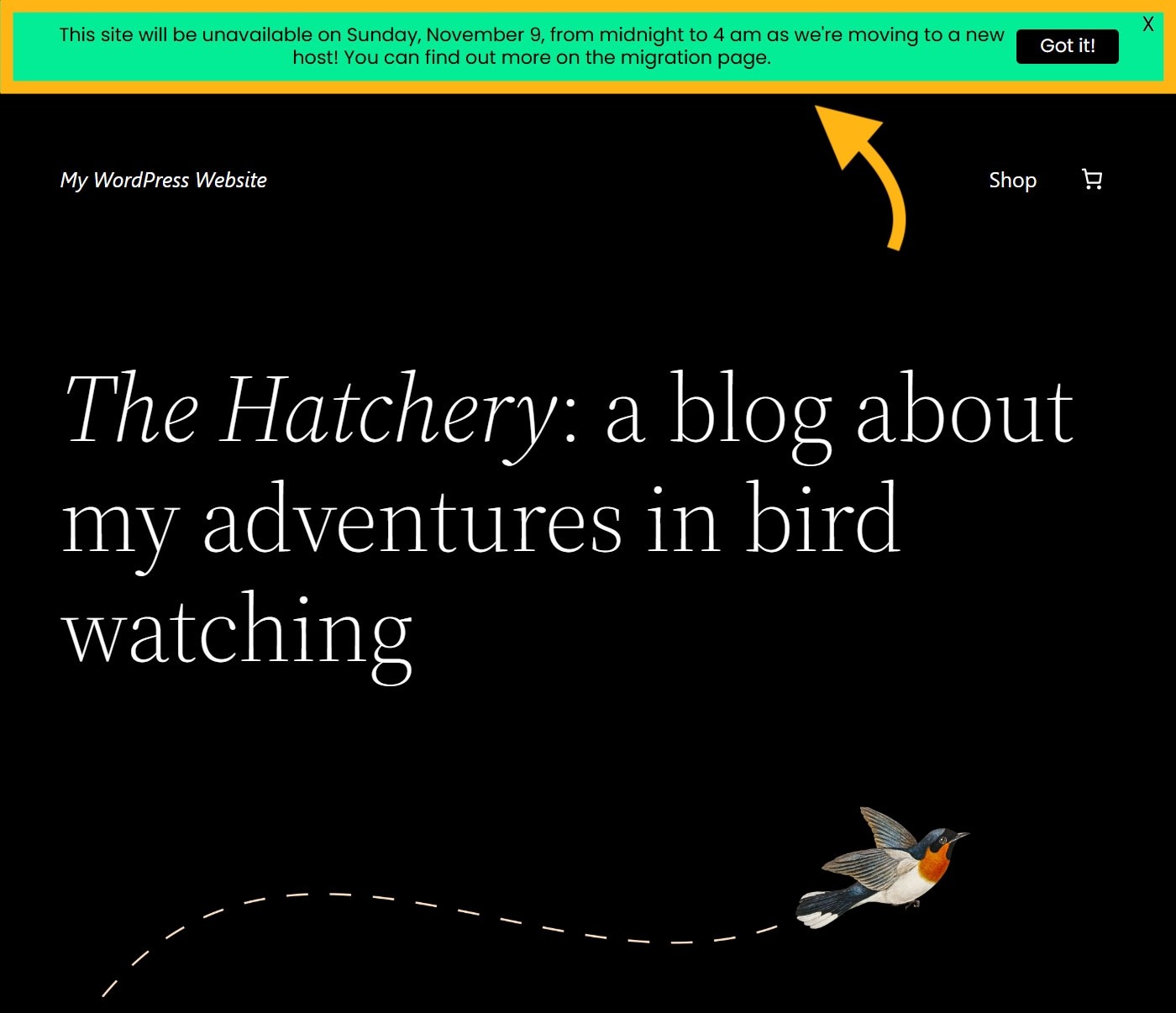 WordPress-Migration-Checklist-Notice-Bar