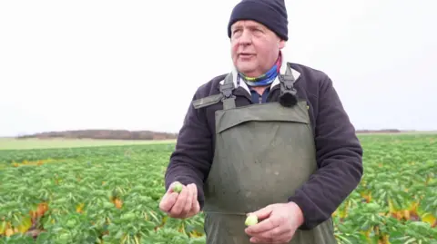 Alan Steven, a sprout farmer, standing in his field. He is holding two sprouts which he just picked and is showing them to the cameraman. He is wearing green overalls over a black jumper. He is also wearing a hat.