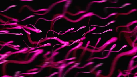 Why are sperm donors having hundreds of children?