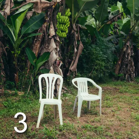 Rimas Entertainment Artwork for Bad Bunny's Deb&iacute; Tirar M&aacute;s Fotos