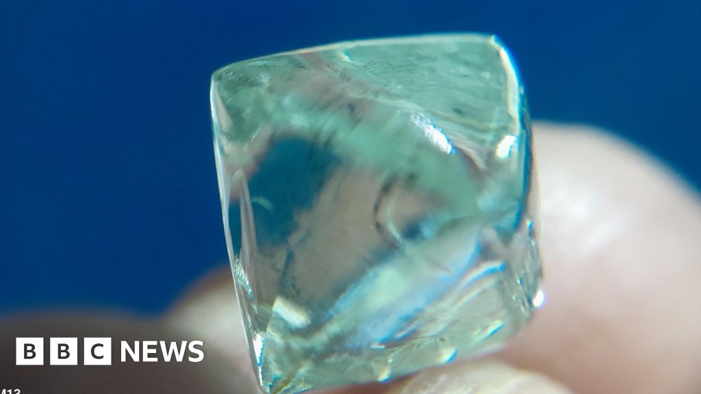 Childhood friends find ‘$55,000 diamond’ in India