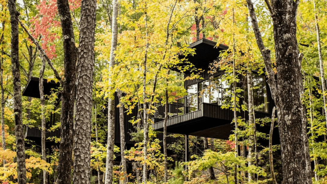 Inside Blackberry Mountain’s Art-Centered Approach to Wellness