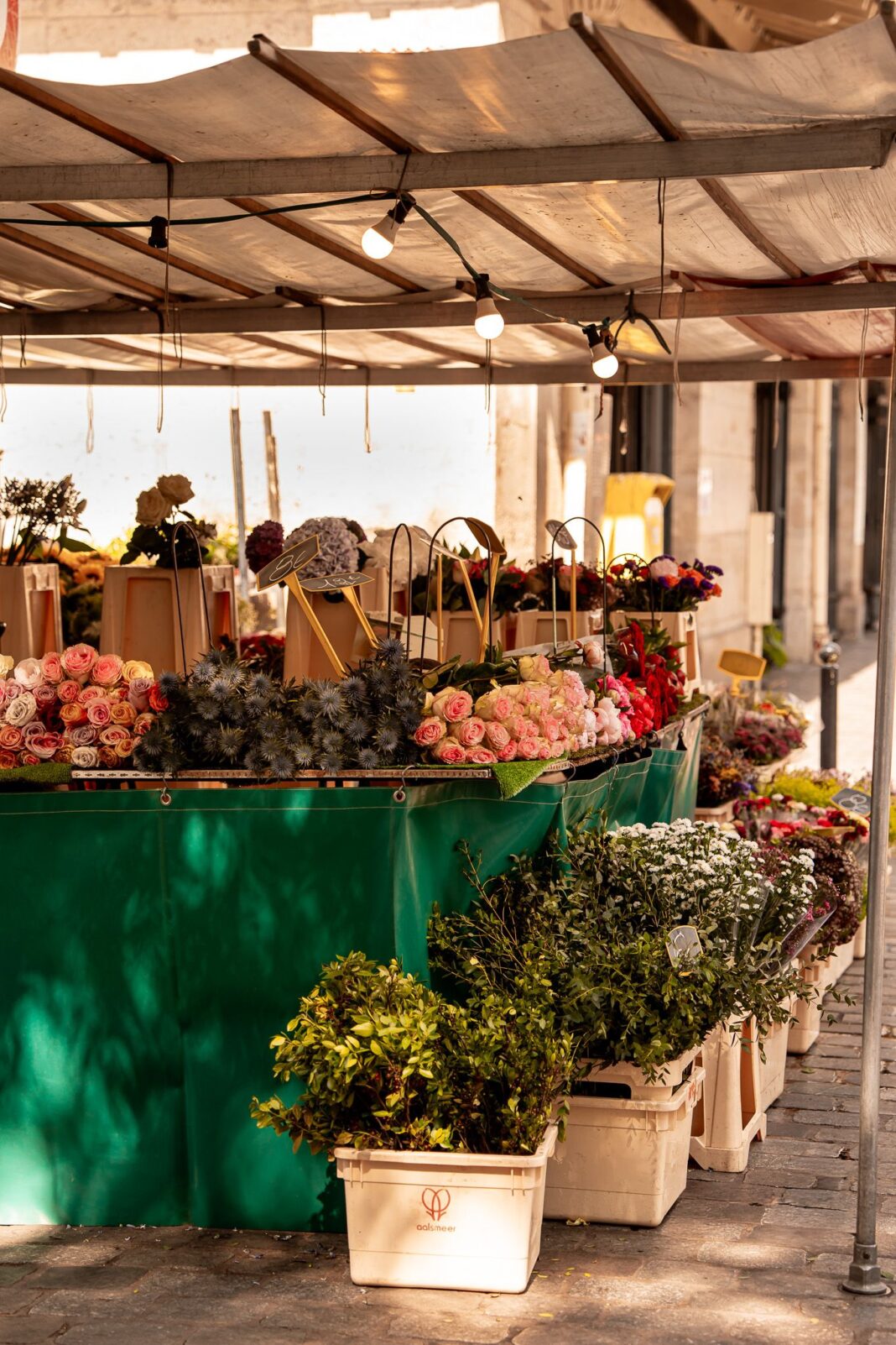 Designer Olivier Rousteing’s Go-To Spots in Paris