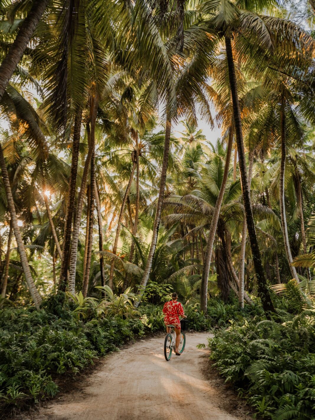 Exploring Seychelles’ Outer Islands, Some of Earth’s Last Truly Wild Places