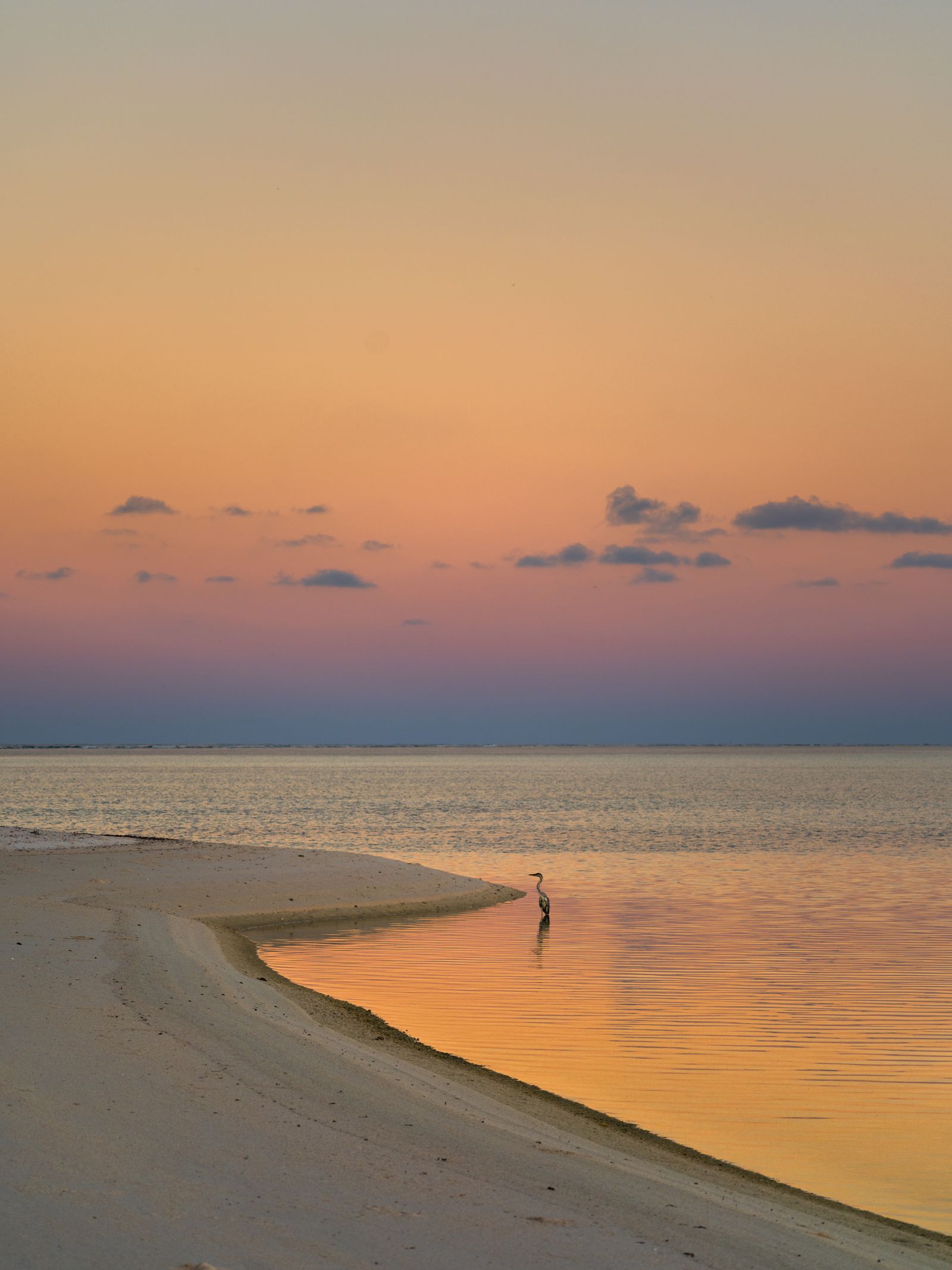 Image may contain Horizon Nature Outdoors Sky Beach Coast Sea Shoreline and Water