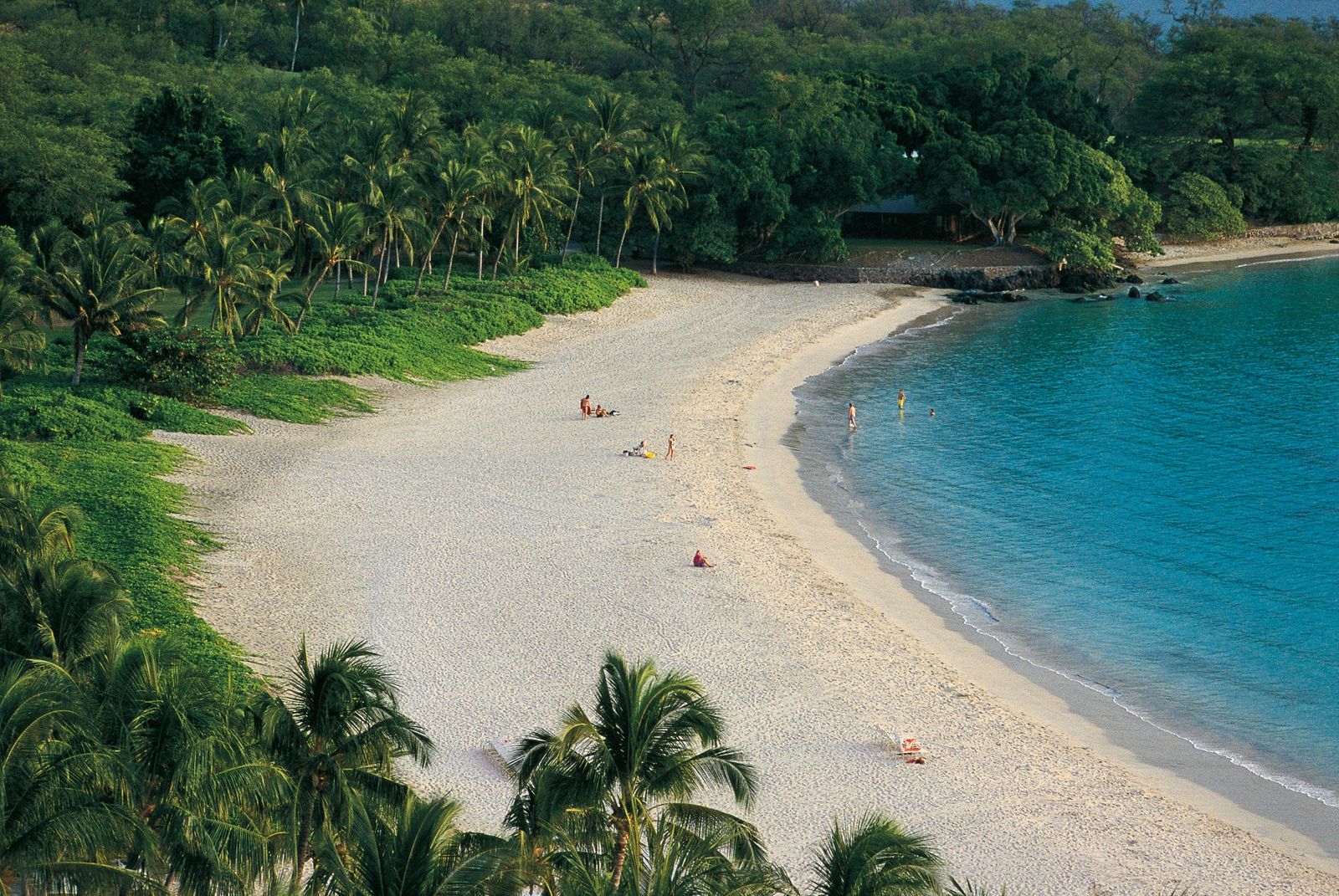 Mauna Kea Beach WWT Free Diving in Hawaii