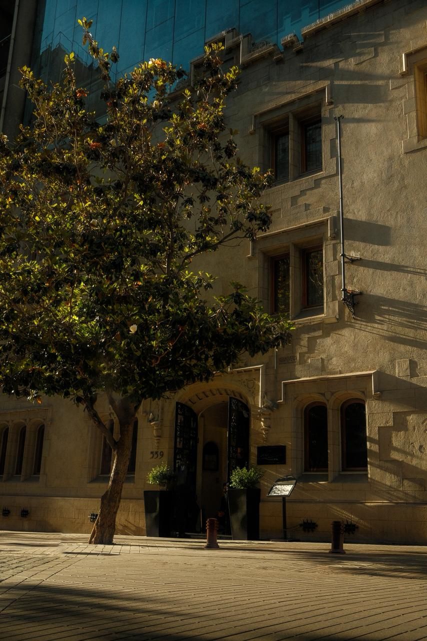 Image may contain City Road Street Urban Architecture Building Monastery Plant Tree Potted Plant and Path