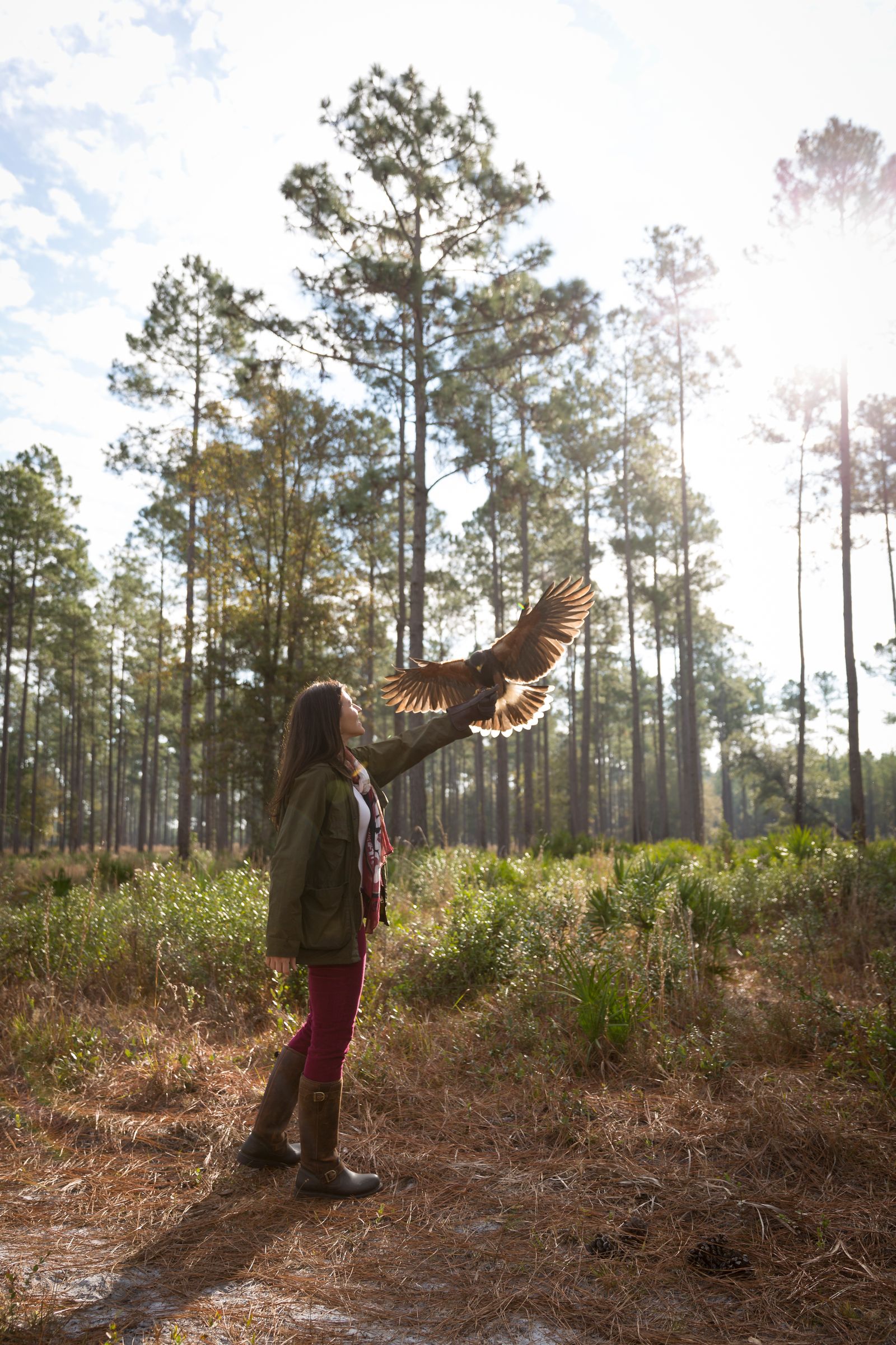 Image may contain Grove Land Nature Outdoors Plant Tree Vegetation Woodland Jungle Wilderness Face and Head