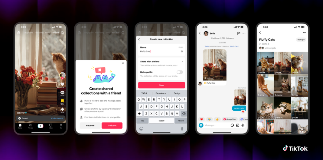 TikTok adds a space for organizing content with others, teases ‘Shared Feeds’