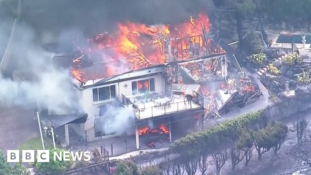 Watch: Australia wildfire rips through homes
