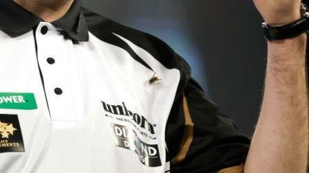 wasp on Ross Smith in 2023