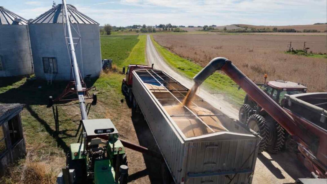 US set to announce $12bn aid package for farmers hit by tariffs