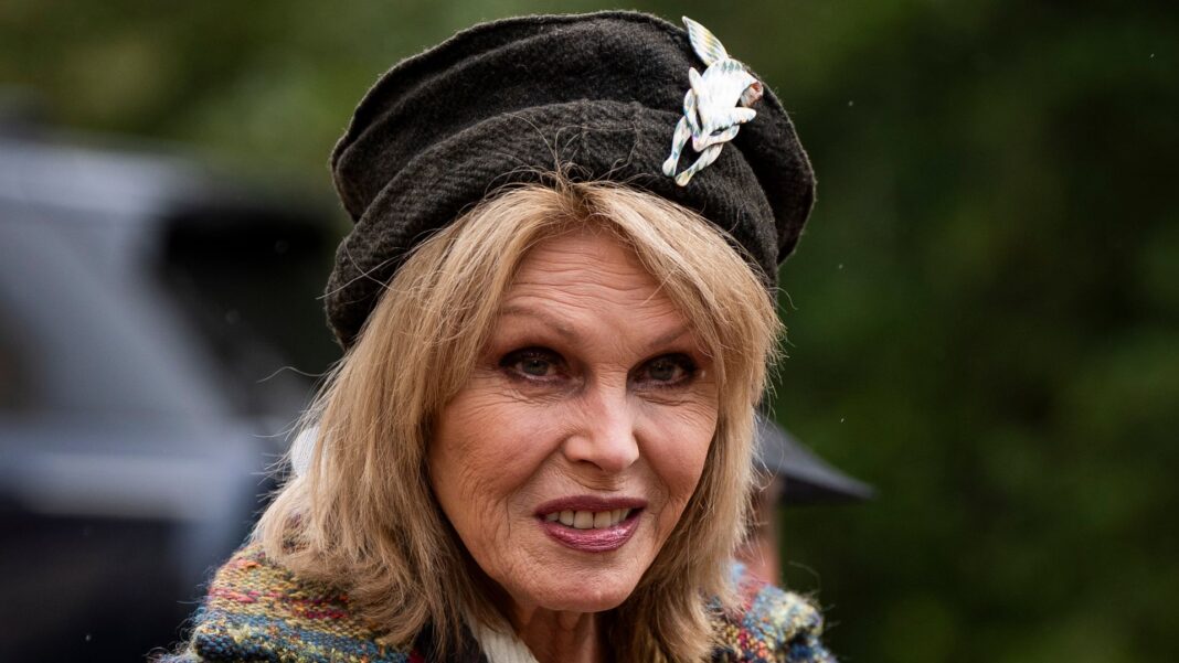 Dame Joanna Lumley warns of ‘crisis hidden in plain sight’
