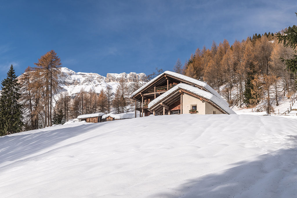 Ski chalet for sale: Cesa Dolomiti, Sella Ronda, Dolomites, Italy.